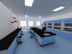昌吉在成都做实验室规划哪两个方面比较重要
