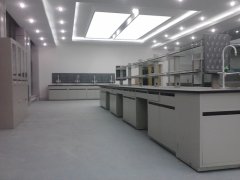 伊春实验室传说中的色彩学