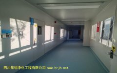 西双版纳移动实验室刚性结构(方舱)性能评价应符合的规定