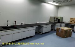 西双版纳2020医学BSLＧ２实验室内气流组织应符合的规定